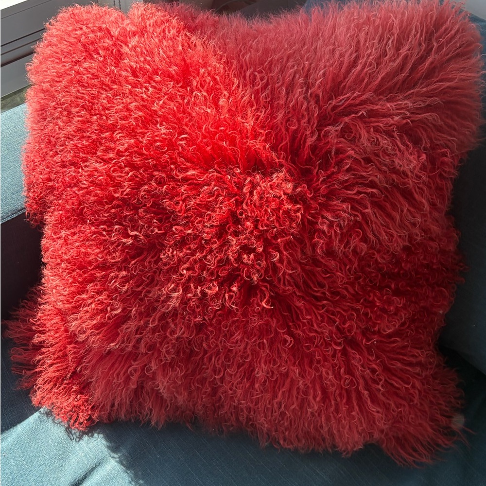 Fur Accent Pillow ($140 value)